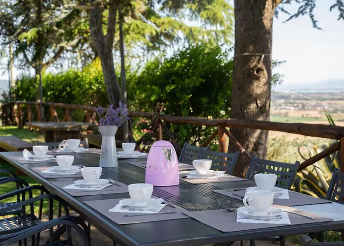 I Cocciai فيلة *